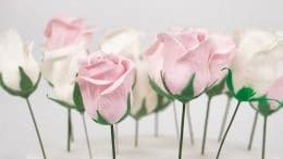 Carmen-montero-mayte-rodriguez-paolo-temesio-toni-rodriguez-academy-jorge-saludable-bakeoff-maribel-ríos-curso-online-sweetit-academy-flor-rosa-textura-goma-modelar-flores-fondant