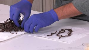 raices-de-chocolate-con-cacao-manipulacion