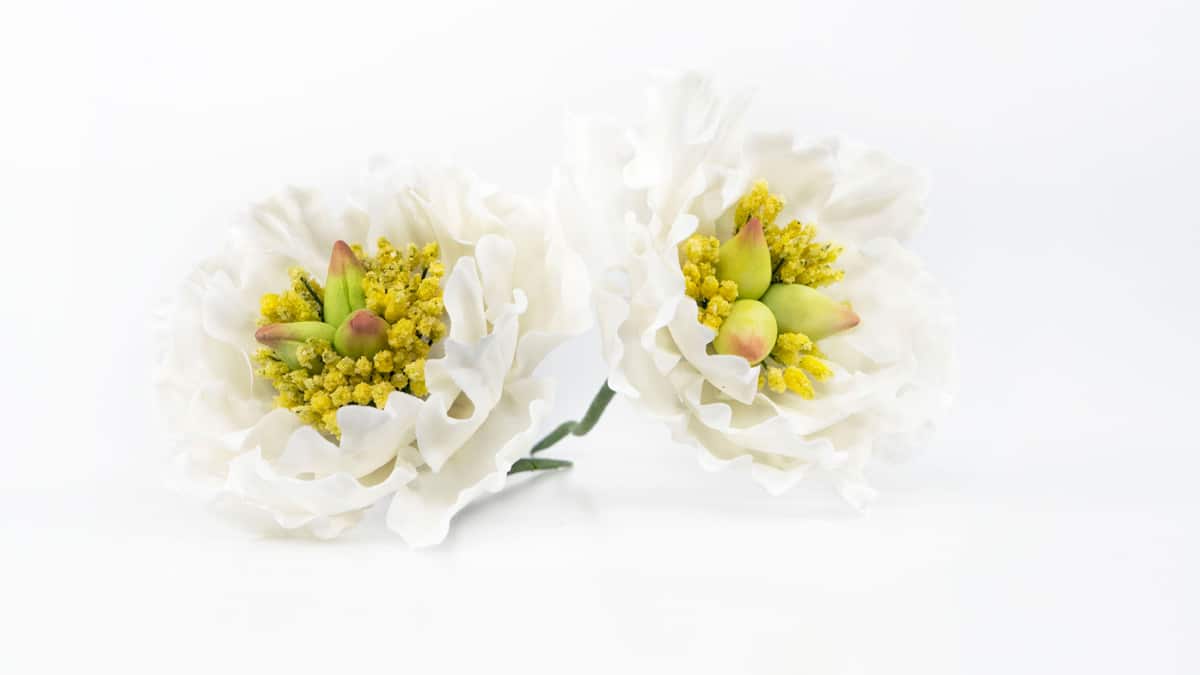 peonia-abierta-curso-flores-de-azucar-carmen-montero-sweetit-reposteria-creativa