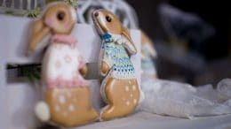 conejo-galleta-maribel-escenario