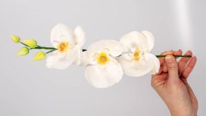 orquidea-pasta-de-flores-carmen-montero-mano