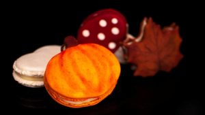 macaron-otoño-carmen-montero-de-espinosa-mendiola-badajoz-seta-macarron