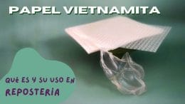 Papel vietnamita